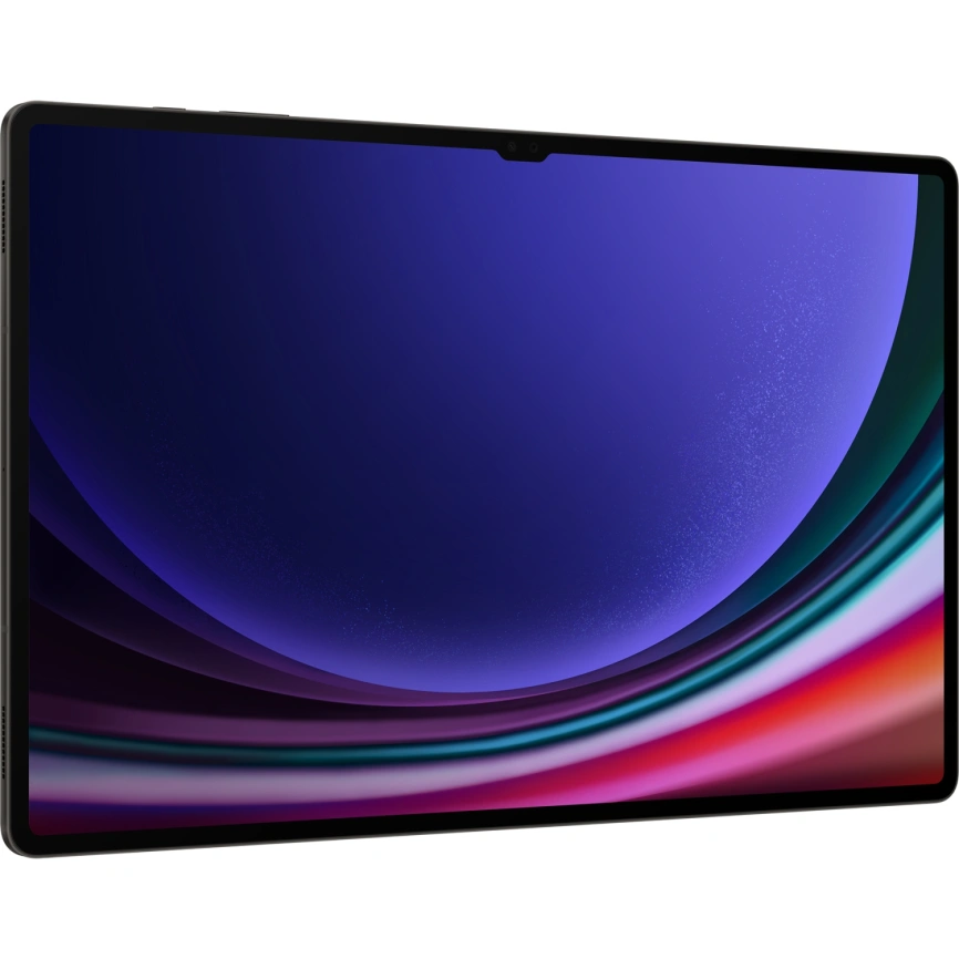 Планшет Samsung Galaxy Tab S9 Ultra LTE 16/1Tb Graphite (SM-X916B) фото 6