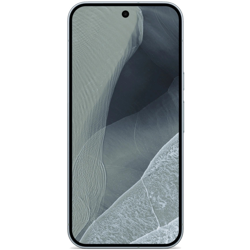Смартфон Google Pixel 11 pro XL 16/512GB Fog фото 2