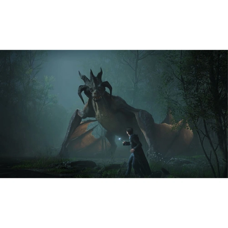 Игра Sony Hogwarts Legacy (Русские субтитры) (PS4/PS5) фото 2